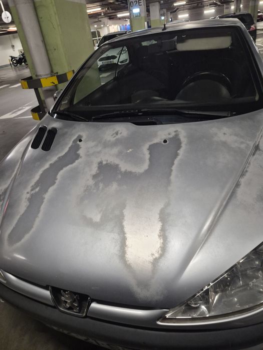 Peugeot 206 CC 1.6 GPL – Económico e Full