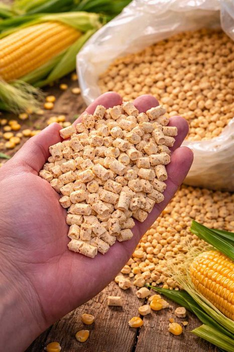 Pelet Kukurydziany dla Ryb 3mm zanęta Karp Amur Leszcz NARURALNA 10kg