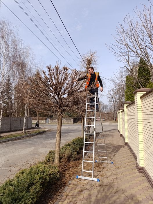 Уборка участка под ключ, покос травы, спил деревьев, корчевка пней