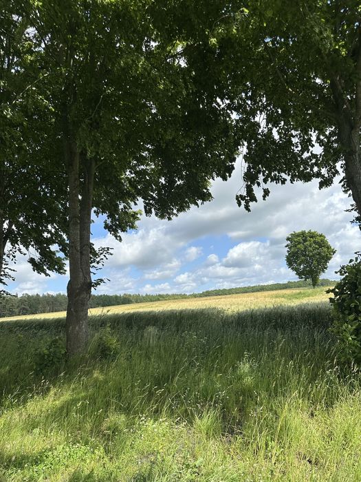 Działka budowlana - Widok 3