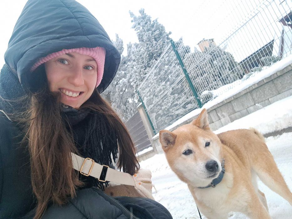 Domowa opieka nad zwierzętami