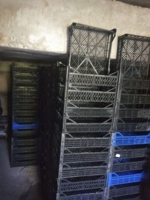 Продам ящик виноградний, стан хороший, незважаючи, на те що ящики б/в