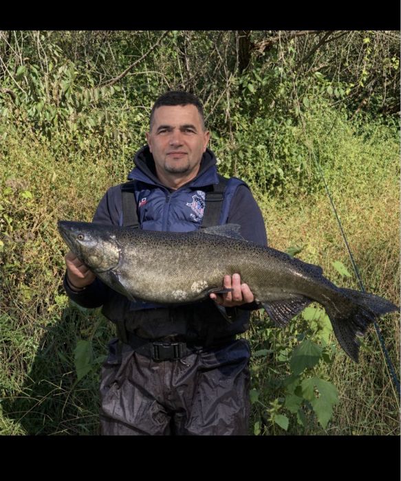 Майстер на годину