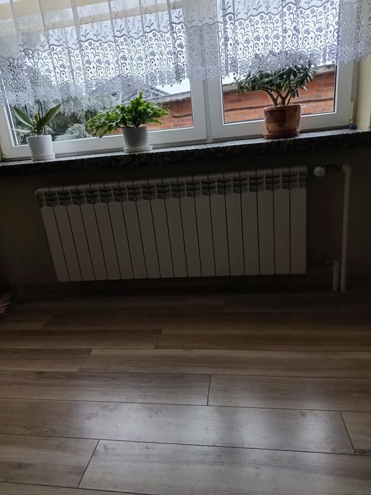 Hydraulik Awarie Pabianice/Okolice