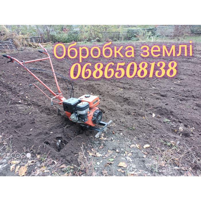 Зрізка аварійних дерев