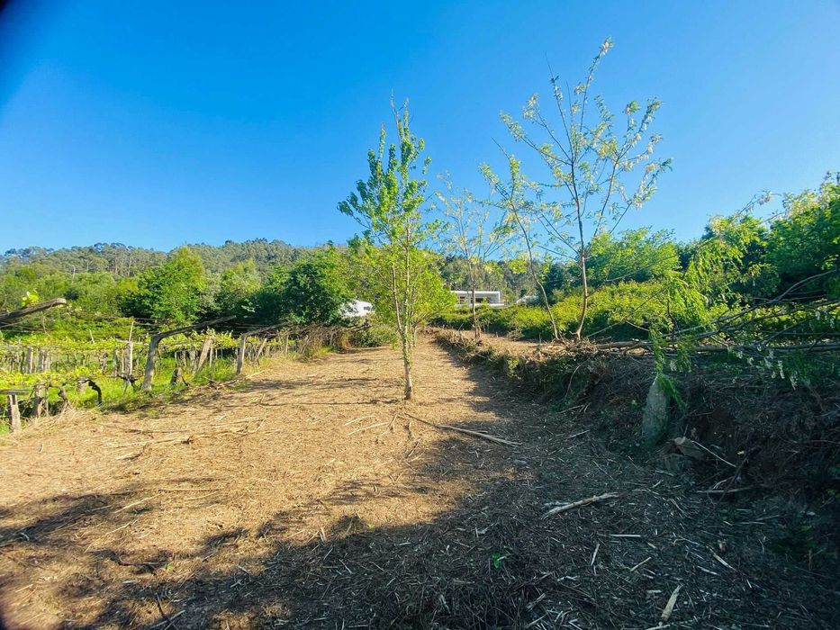 Terreno em Lanhelas vista Rio | Land in Lanhelas with river view