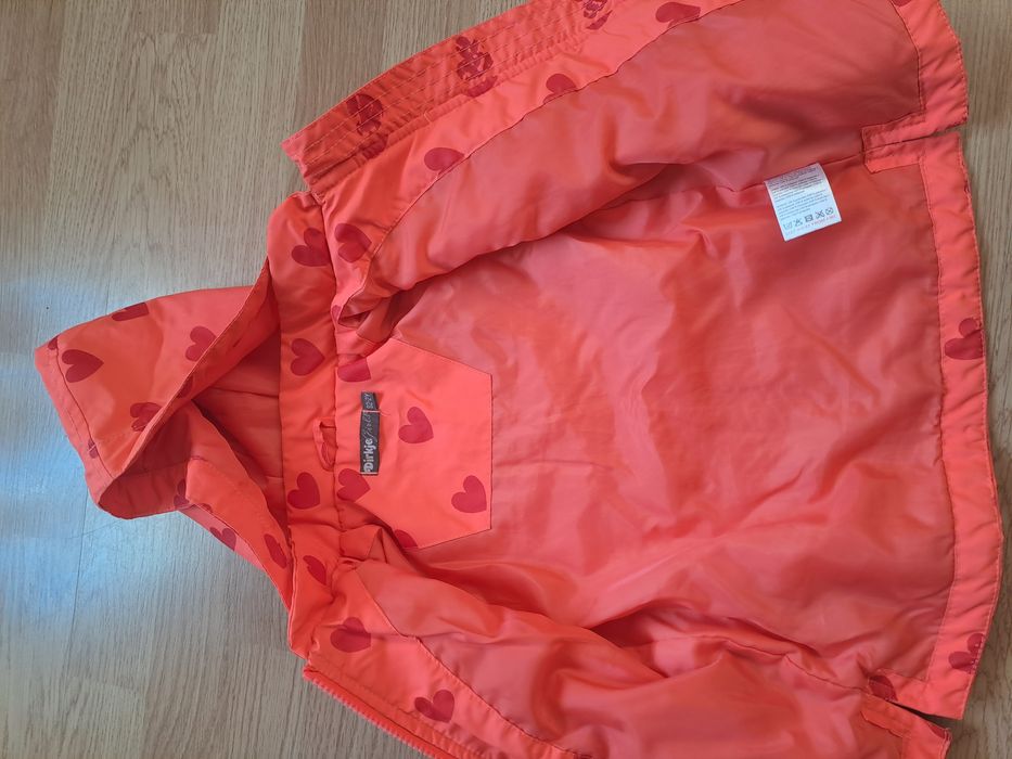 Kurteczka przejsciowa