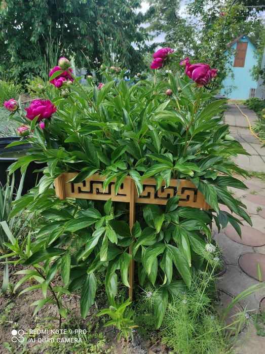 Опора для квітів