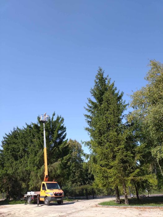 Wycinka - skracanie -pielęgnacja drzew , prace na wysokości