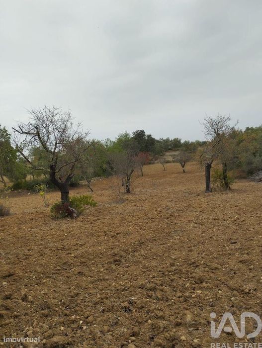 Terreno Agrícola em São Brás de Alportel de 3400,00 m2
