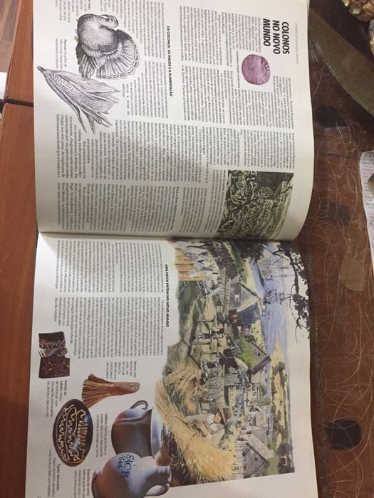 História da vida quotidiana