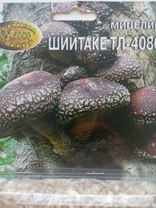 Семена грибов шиитаке ТЛ-4080