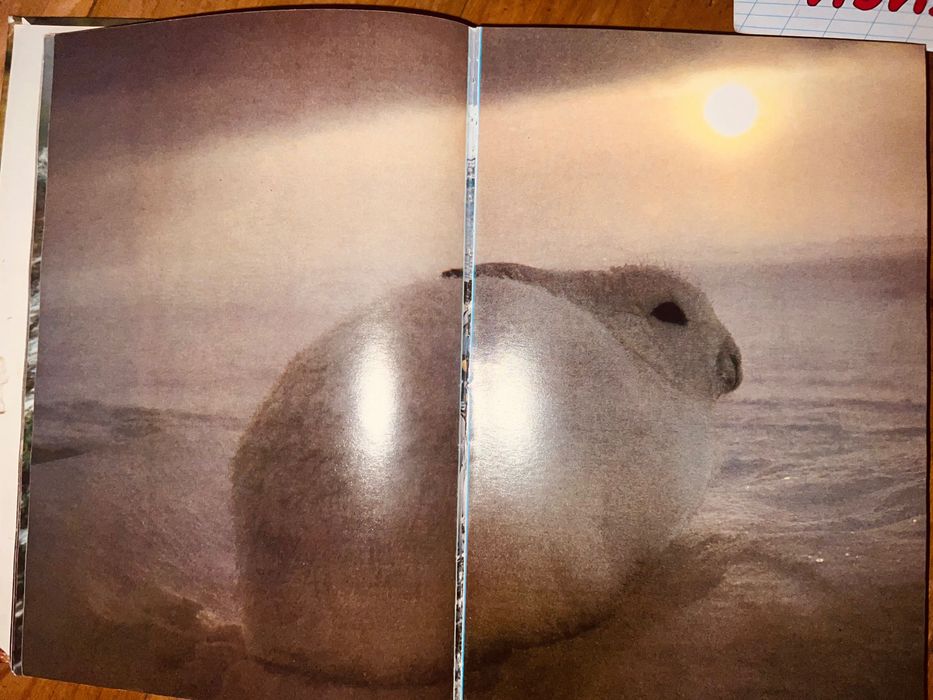 Уильям Х. Амос Живой мир островов