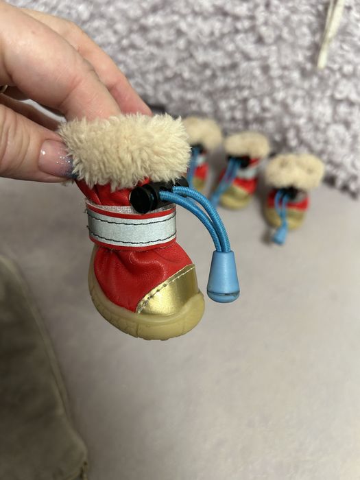 Сапожки для собачки