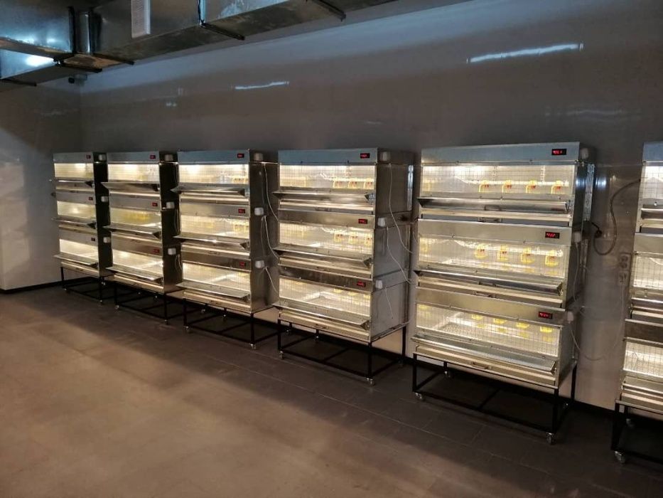 Брудер яслі клітка для пташенят обігріву бройлерів