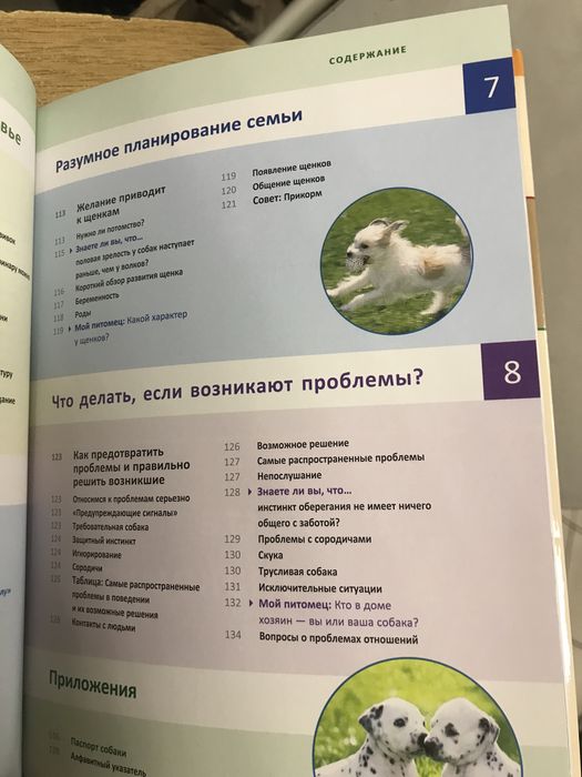 Моя собака