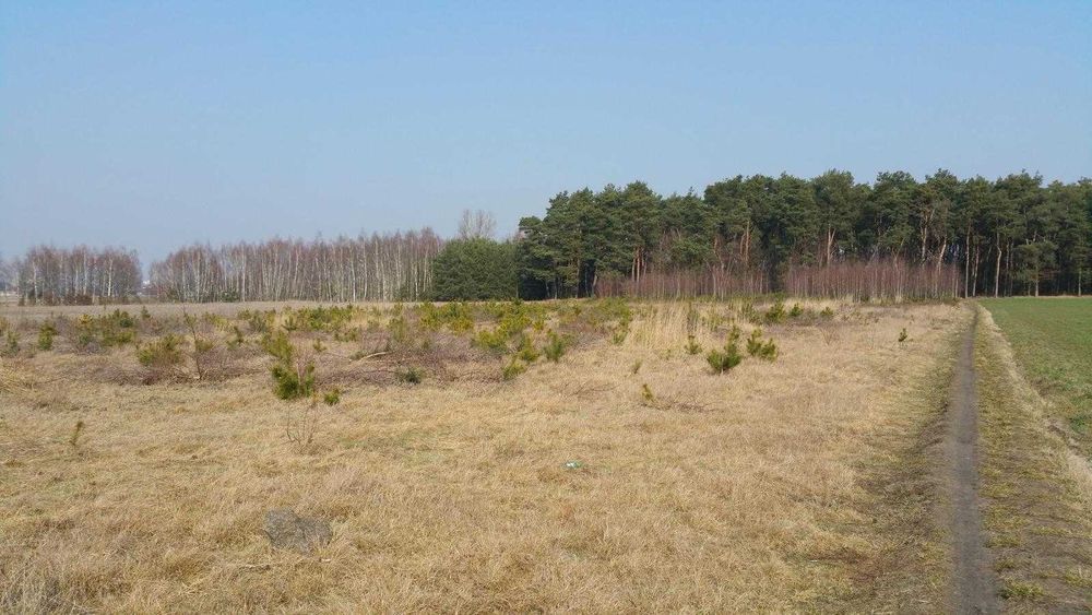 Działka przy lesie z WZ – 1518 m² – Powiercie - Widok 2