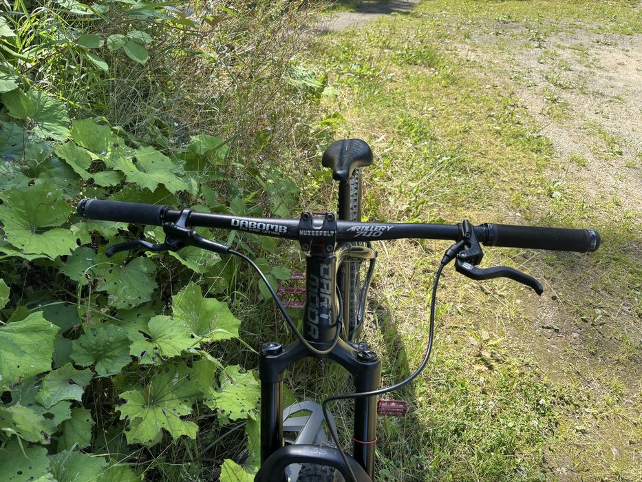 Dartmoor hornet 2022