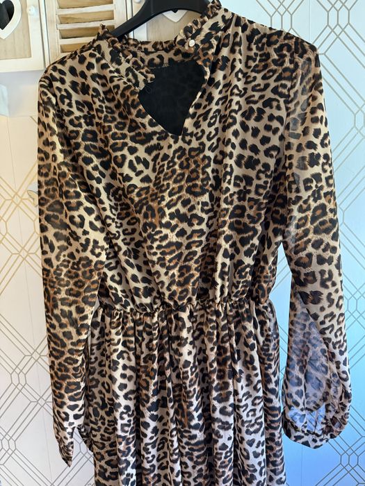 Sukienka w panterke Brandenburg