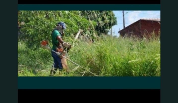 Faço cargas de entulho