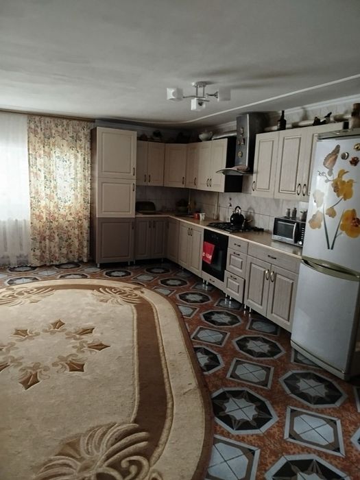 Житловий будинок з виходом до річки Південний Буг