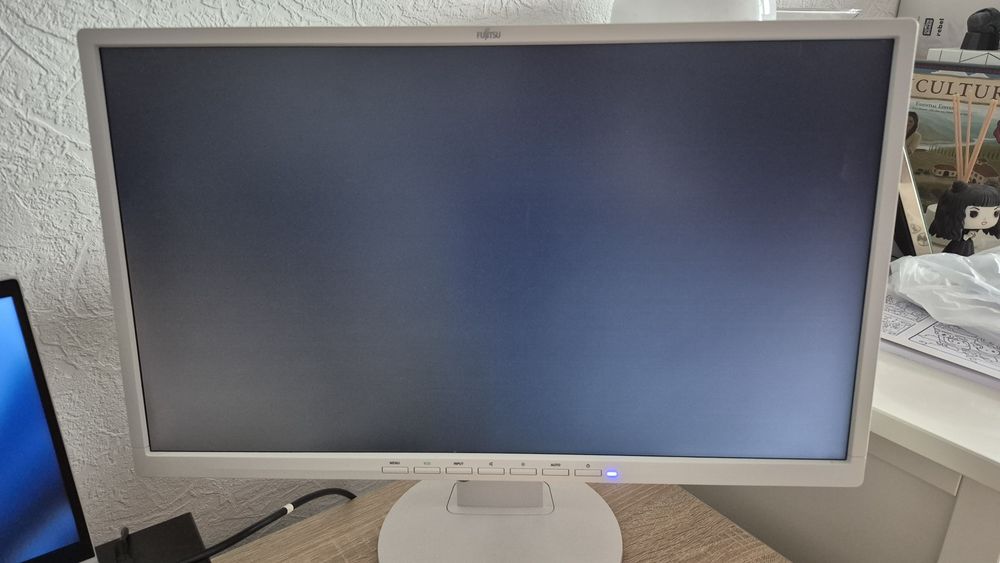 Monitor Fujitsu B24-8T 24 cale