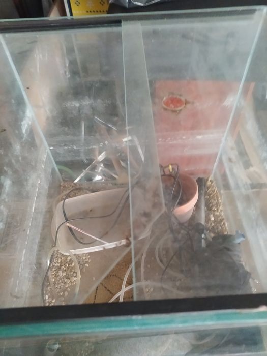 Aquário cubo para criação