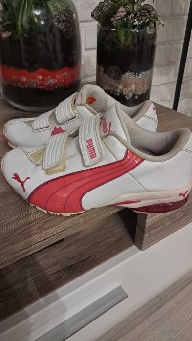 Puma adidasy r. 31