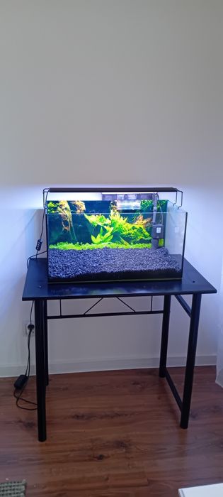 Akwarium  cały zestaw gotowe