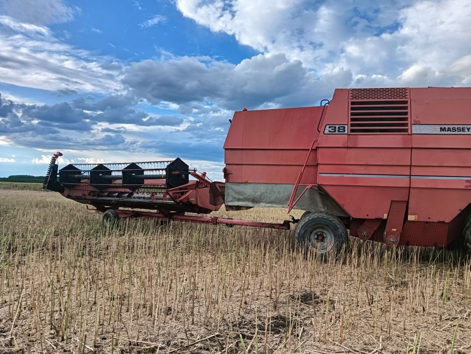 Kombajn Massey Ferguson 38