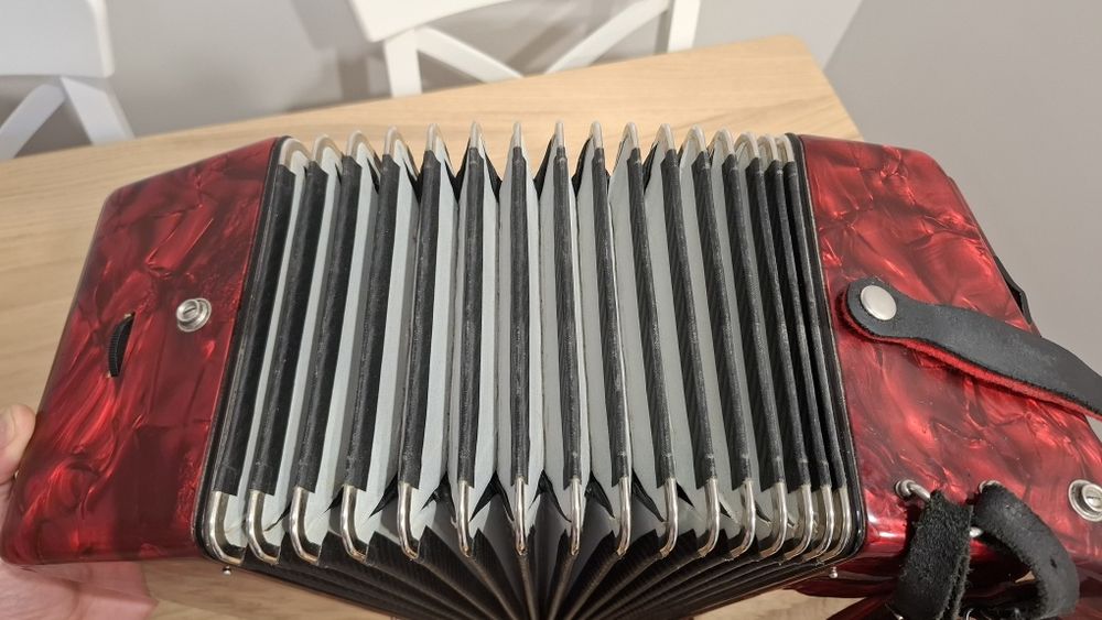 Akordeon weltmeister serino 72 basy