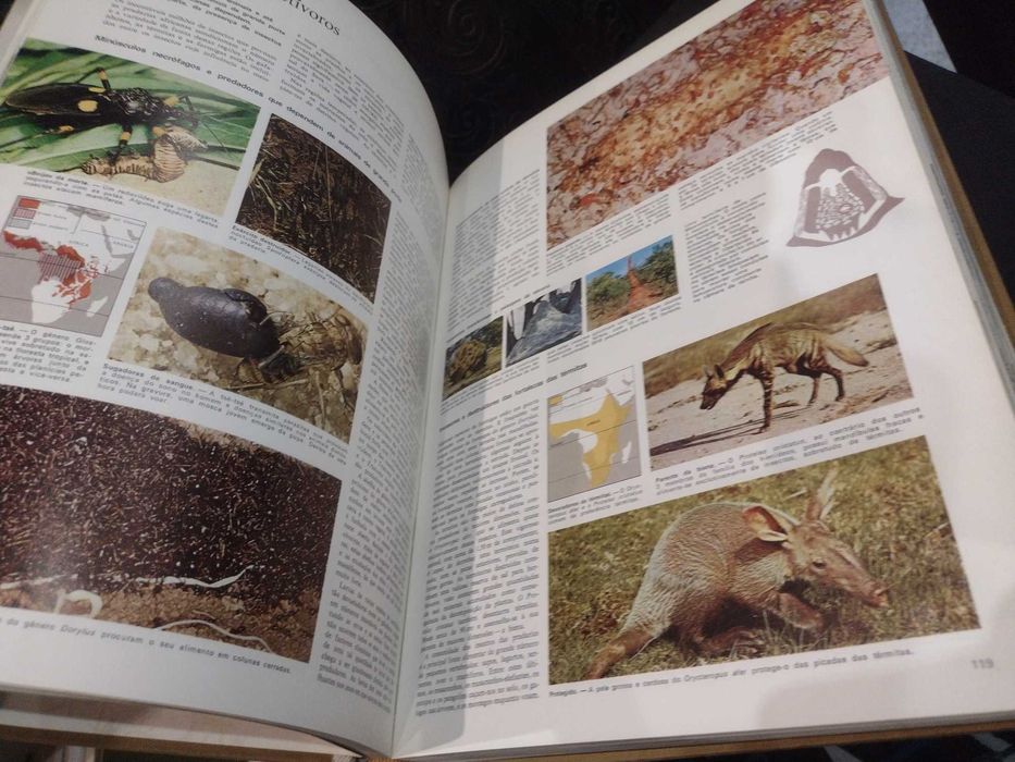 Livro Animais da Terra