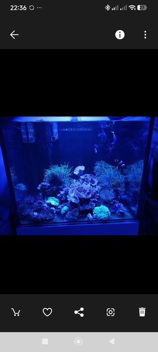 Vendo aquário e movel e sump