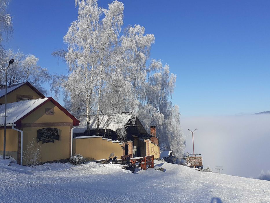 Карпати, відпочинок на Красії, " Золотий ключик"
