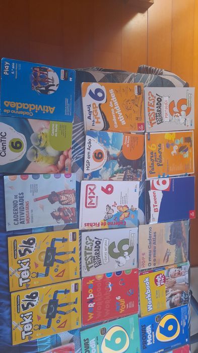 Livros do sexto ano