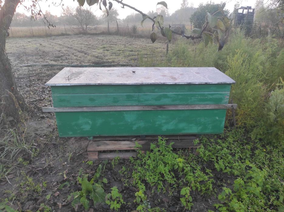 Продам вулик на 2 сім’ї