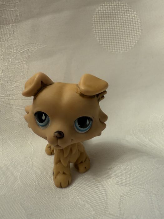 Littlest Pet shop collie LPS #893 piesek collie dog z 2007