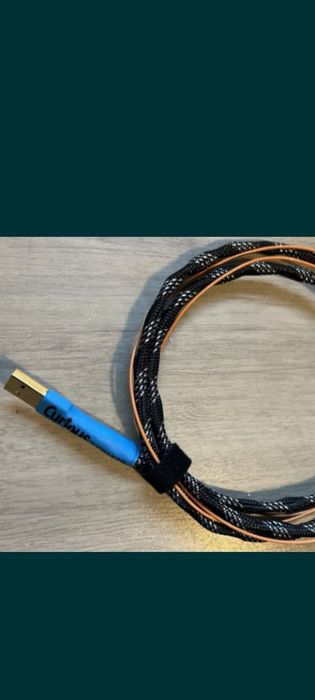 Curious Evolved Cable 0.8 m