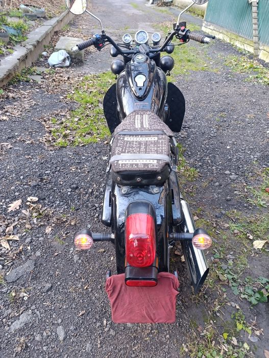 Rider Renegade 250
