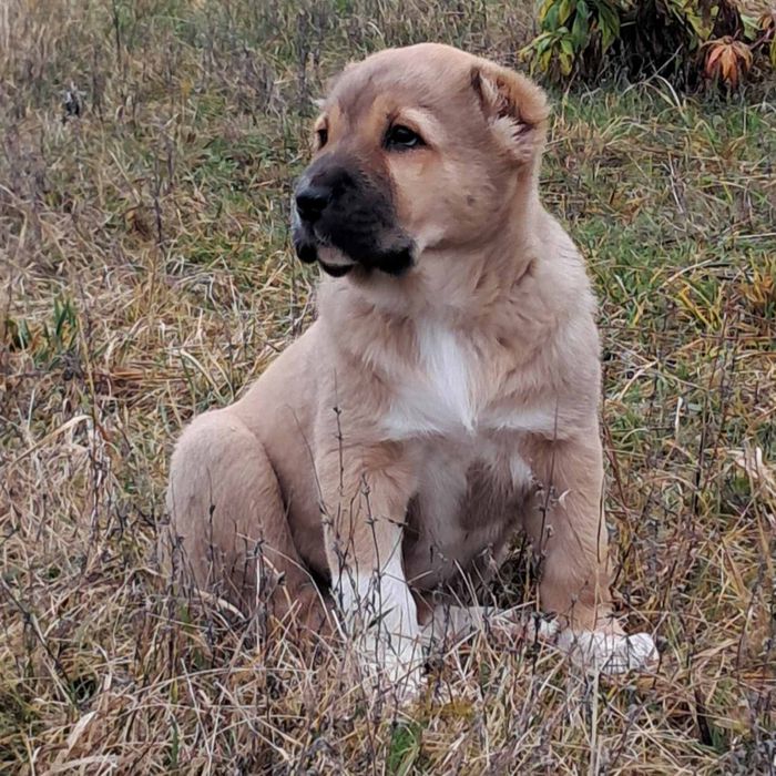 Дівчинка чекае батьків