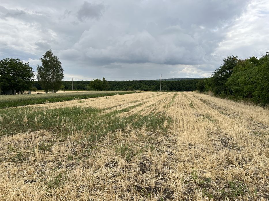 Продаж ділянки під будівництво в с. Орестів