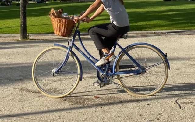 bicicleta cidade pashley princess