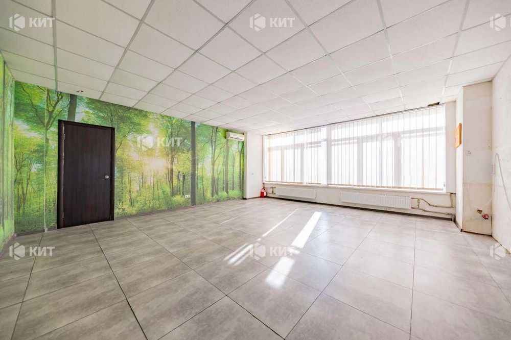 Офіс 65м2 Центр (м. Левада, ул. Гимназическая набережная 24) 130094
