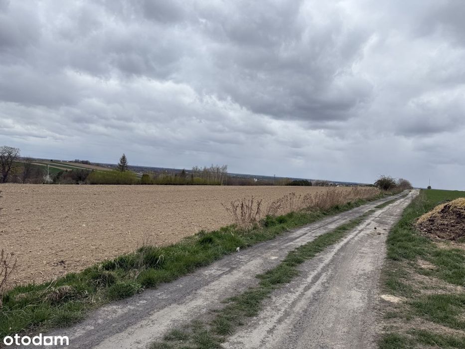 Atrakcyjne działki budowlane przy ul. Sokolej – Gościęcice - Widok 2