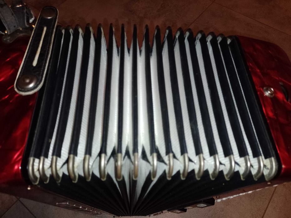 Akordeon Delicia 4 chóry 120 basów
