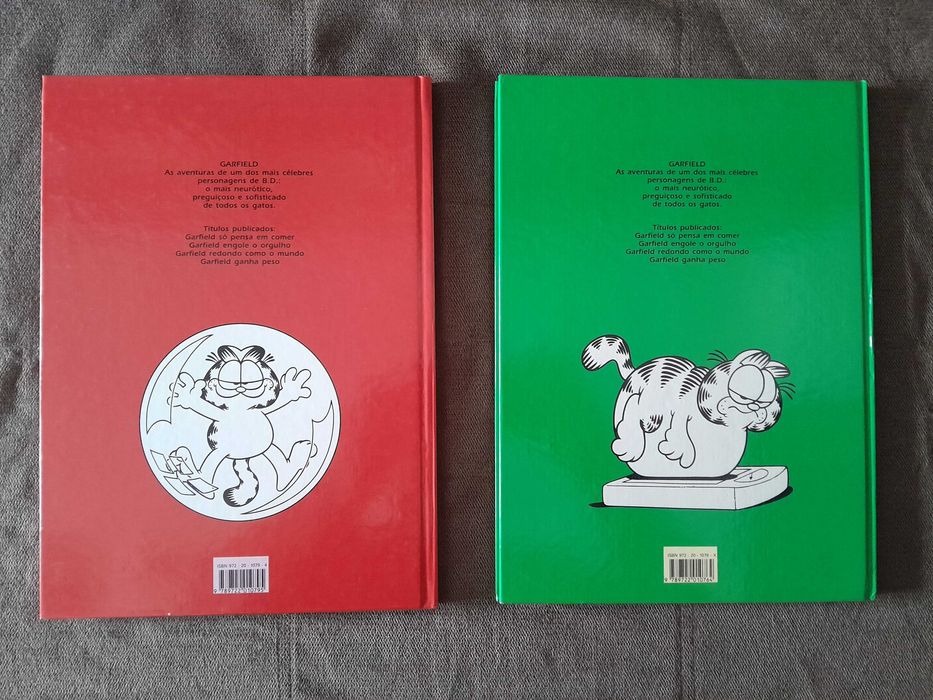 Garfield (Dom Quixote)