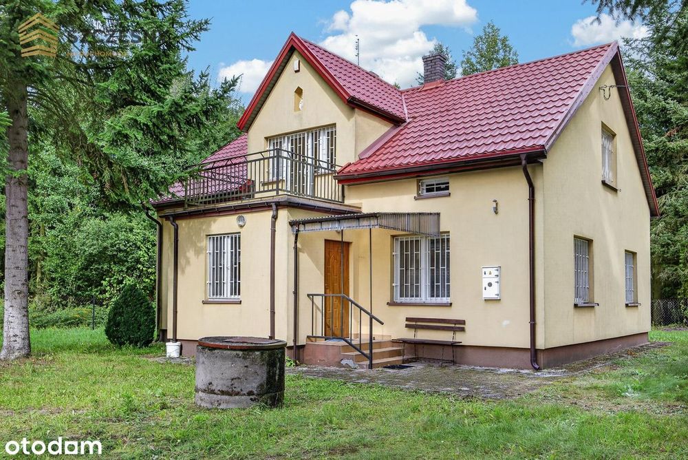 Siedlisko- dom mieszkalny, budynki gospodarcze, MOGOWO obok NASIELSKA - Widok 3