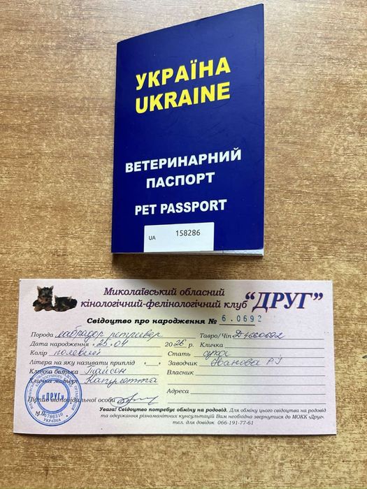 продам собаку лабрадор