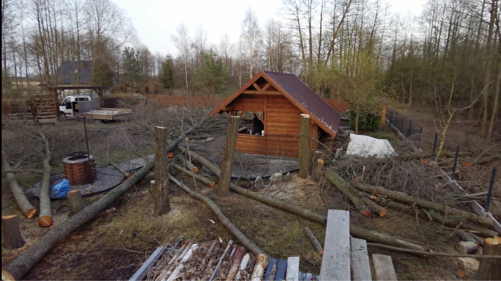 Alpinistyczna wycinka i pielęgnacja drzew, usługi rębakiem i frezarką