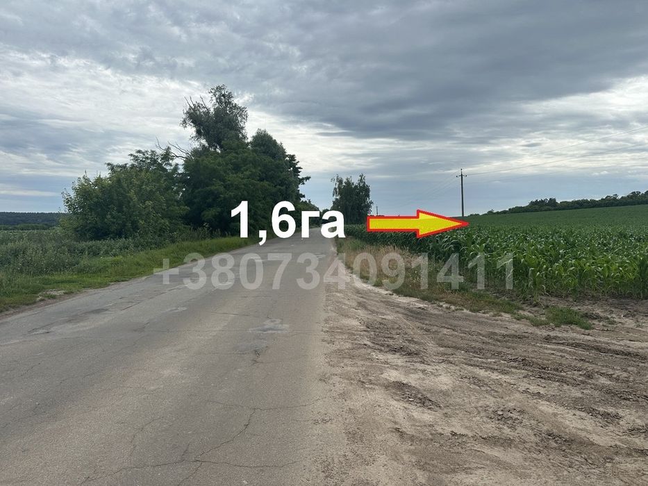 МУЗИЧІ!ПРОДАЖ Фасадної ділянки 1.6га ! Терміново!Супер Пропозиція!